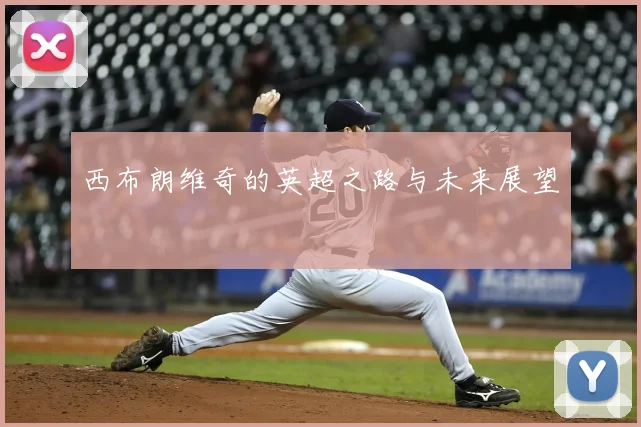 西布朗维奇的英超之路与未来展望